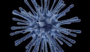 COVID 19 - Disposizioni per l'accesso ai servizi comunali