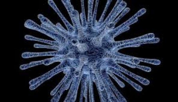 COVID 19 - Disposizioni per l'accesso ai servizi comunali