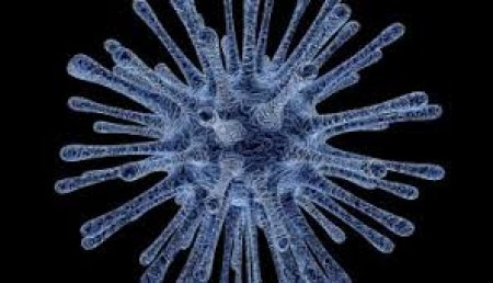 COVID 19 - Disposizioni per l'accesso ai servizi comunali