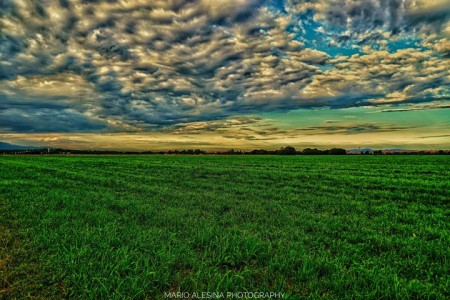 D.G.R. N. 29/3 DEL 21.07.2021- DOMANDA DI INTERVENTO AL FONDO DI SOLIDARIETA’ NAZIONALE PER COMPENSARE I DANNI ALLE COLTURE AZIENDALI, CAUSATI DALLE GELATE VERIFICATESI DAL 7 AL 9 APRILE 2021.