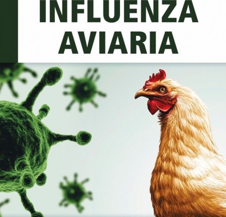 INFLUENZA AVIARIA