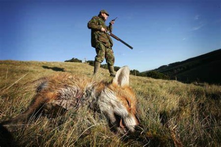 UFF. POLIZIA LOCALE - RESTITUZIONE AL COMUNE DELLA FOGLINA DI CACCIA ANNATA VENATORIA 2022/2023 ENTRO IL PRIMO MARZO 2023 E  CONTESTUALE CONSEGNA FOGLIO VENATORIO ANNATA 2023/2024