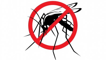 Avviso disinfestazione instetti alati e striscianti