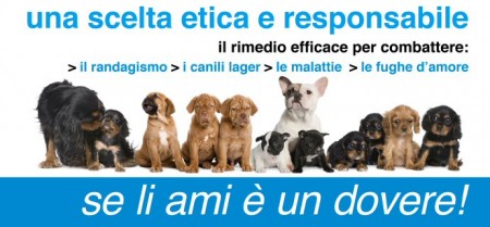 CONTRIBUTO STERILIZZAZIONE CANI PADRONALI