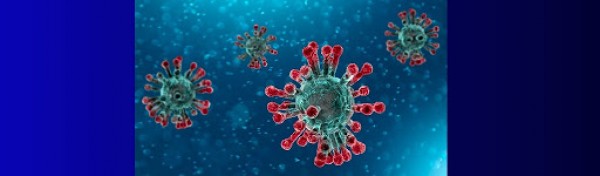 AVVISO PUBBLICO PER L'INDIVIDUAZIONE DI UN ELENCO DI ESERCIZI COMMERCIALI DA UTILIZZARE NELL'EMERGENZA COVID-19