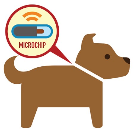 MICROCHIP DAY - 21 GIUGNO 2023 ORE 16:00 CENTRO SOCIALE