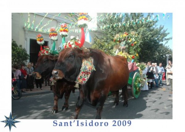 Sant' Isidoro 2009