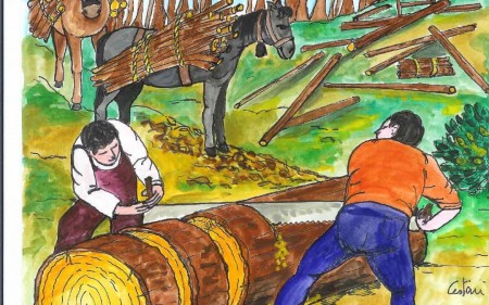 CONCESSIONE DI LEGNAME PER USO DOMESTICO ANNO 2021