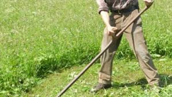 ORDINANZA TAGLIO VEGETAZIONE INCOLTA PER LA PREVENZIONE RISCHIO INCENDI E LA TUTELA DELL'IGIENE PUBBLICA